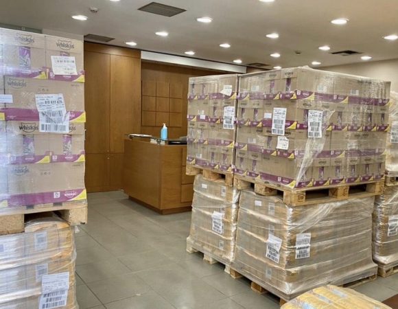 Εικόνα άρθρου