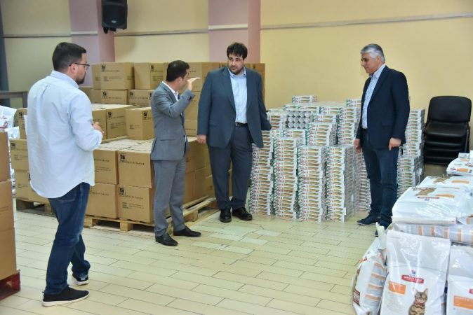 Εικόνα άρθρου