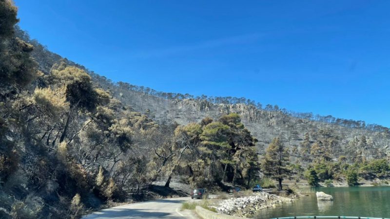 Εικόνα άρθρου