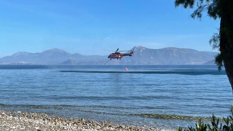 Εικόνα άρθρου