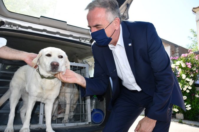 Εικόνα άρθρου