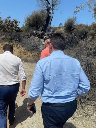 Εικόνα άρθρου