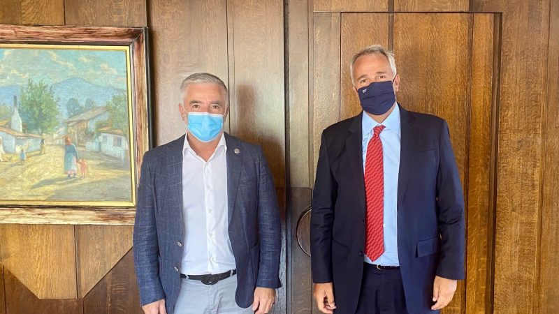 Εικόνα άρθρου