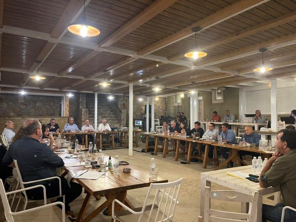 Εικόνα άρθρου