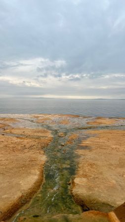 Εικόνα άρθρου