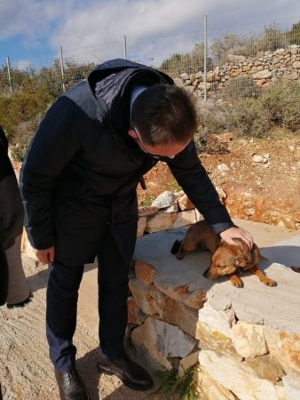 Εικόνα άρθρου