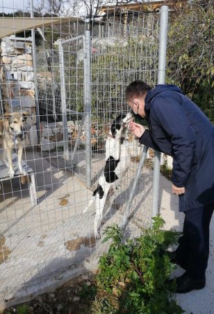 Εικόνα άρθρου