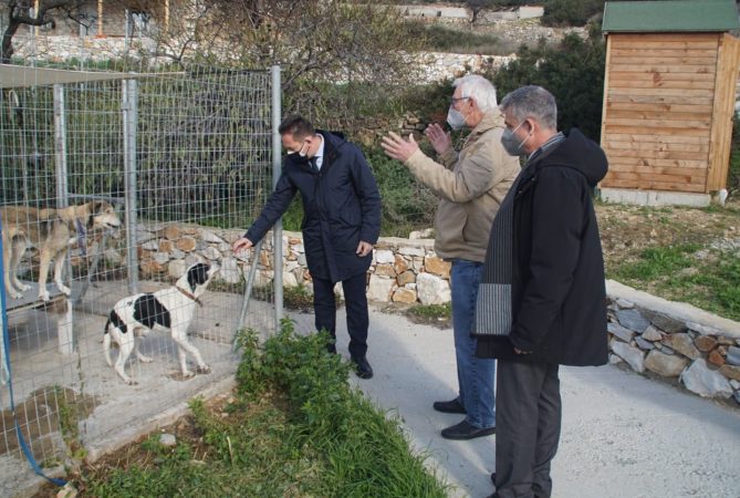 Εικόνα άρθρου