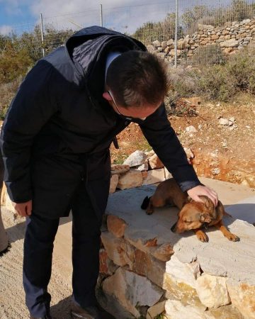 Εικόνα άρθρου