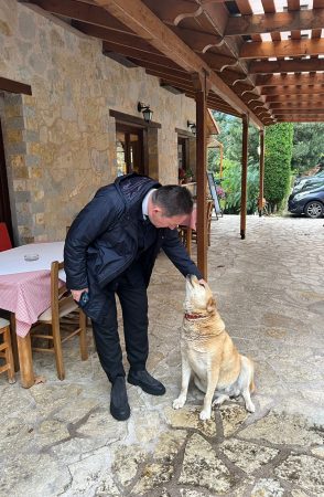 Εικόνα άρθρου
