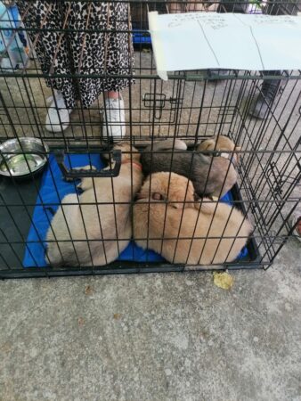 Εικόνα άρθρου