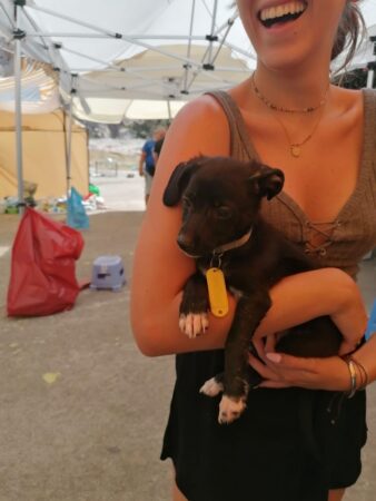 Εικόνα άρθρου