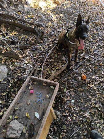 Εικόνα άρθρου