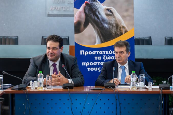 Εικόνα άρθρου