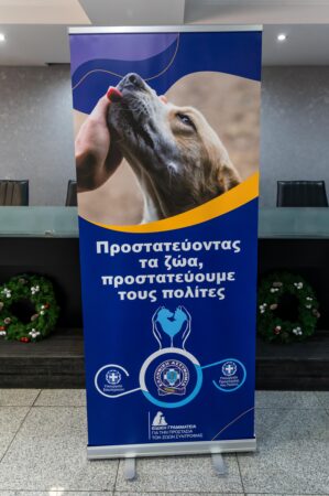 Εικόνα άρθρου