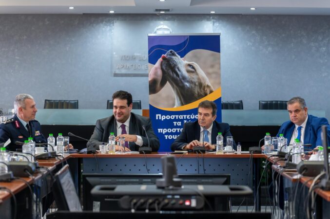 Εικόνα άρθρου