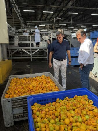 Εικόνα άρθρου